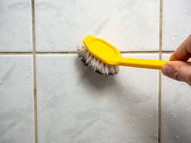 Best Home Mold Removal  in Dundee, NY